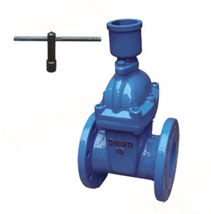 FDZ45X-16Q Ductile Iron Anti-theft soft Seal Gate Valve