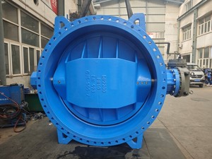 Double eccentric butterfly valve