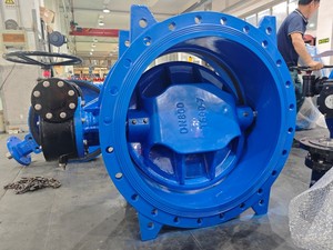 Double eccentric butterfly valve