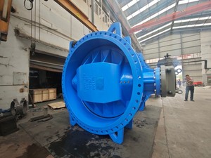 Double eccentric butterfly valve