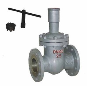 FDZ45H-16C铸钢硬密封防盗闸阀