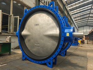 Large-diameter butterfly valve