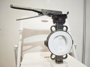 Fully lined PTFE butterfly valve