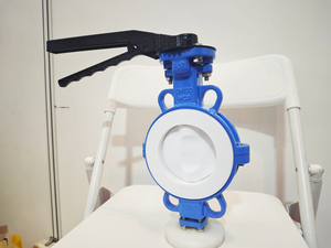 Fully lined PTFE butterfly valve