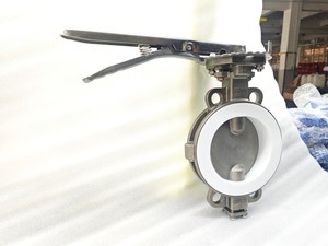 Fully lined PTFE butterfly valve