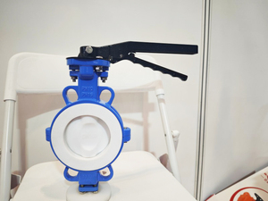 Fully lined PTFE butterfly valve